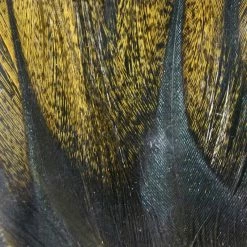 Hareline Gallo De Leon Saddle Feathers Fly Tying