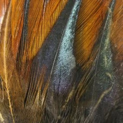 Hareline Gallo De Leon Saddle Feathers Fly Tying