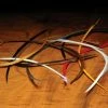Hareline Fly Tying Stripped Goose Biots