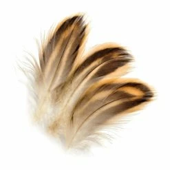 Natures Spirit Hen Mallard Flanks Fly Tying