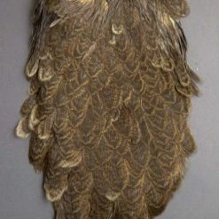 Whiting Brahma Hen Saddle Fly Tying