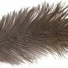 Natures Spirit Ostrich Plumes
