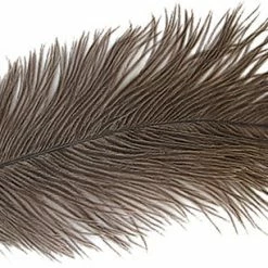Natures Spirit Ostrich Plumes