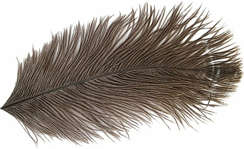 Natures Spirit Ostrich Plumes 1 Natures Spirit Ostrich Plumes