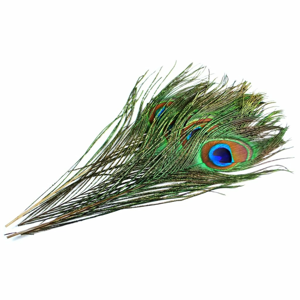 Hareline Peacock Eyed Sticks Fly Tying 1 Hareline Peacock Eyed Sticks Fly Tying