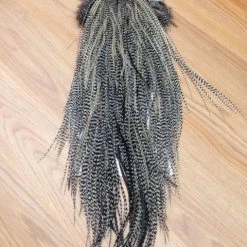 Fly Tying Whiting Gold Full Saddle - Grizzly