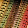 Wapsi Fly Tying Ringneck Pheasant Tail Feathers