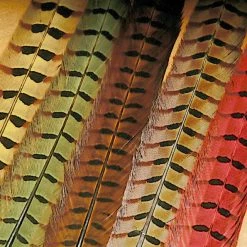 Wapsi Fly Tying Ringneck Pheasant Tail Feathers