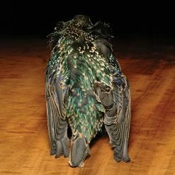 Hareline Starling Skin