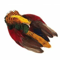Natures Spirit Fly Tying Golden Pheasant Skin W/ Head